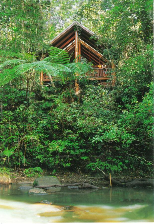The Canopy Rainforest Treehouses & Wildlife Sanctuary Tarzali Zewnętrze zdjęcie