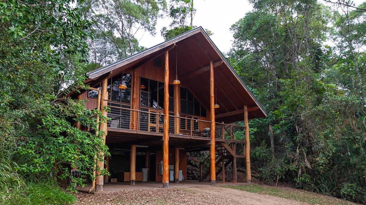 The Canopy Rainforest Treehouses & Wildlife Sanctuary Tarzali Zewnętrze zdjęcie